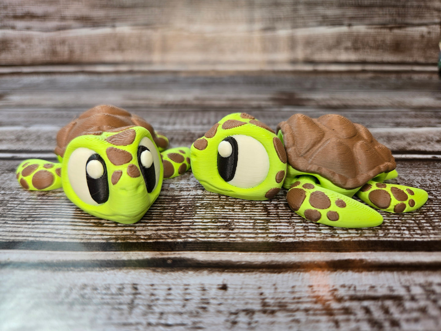 Sea Turtle
