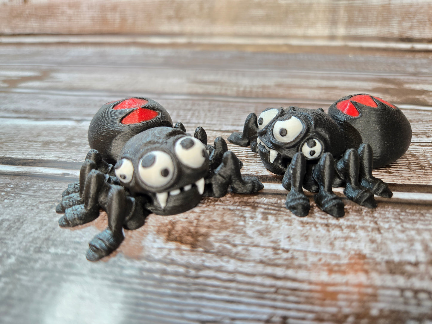 Black Widow Spider