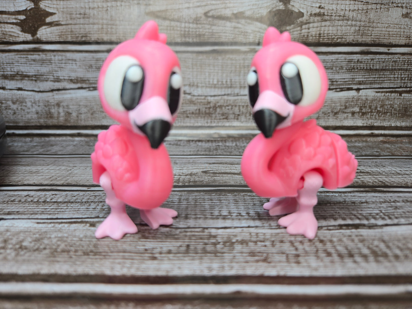 Flamingo
