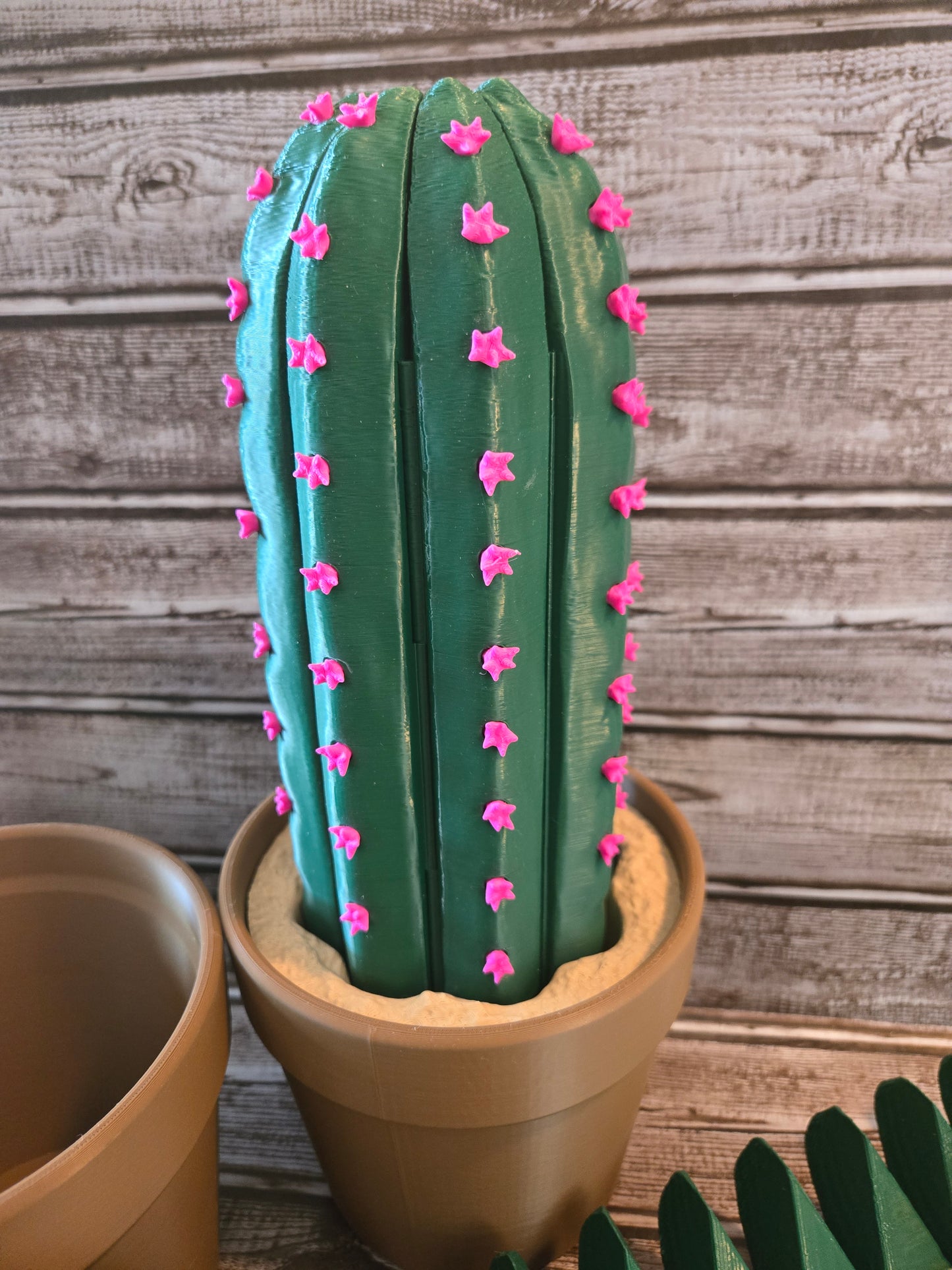 Cactus Chess Set
