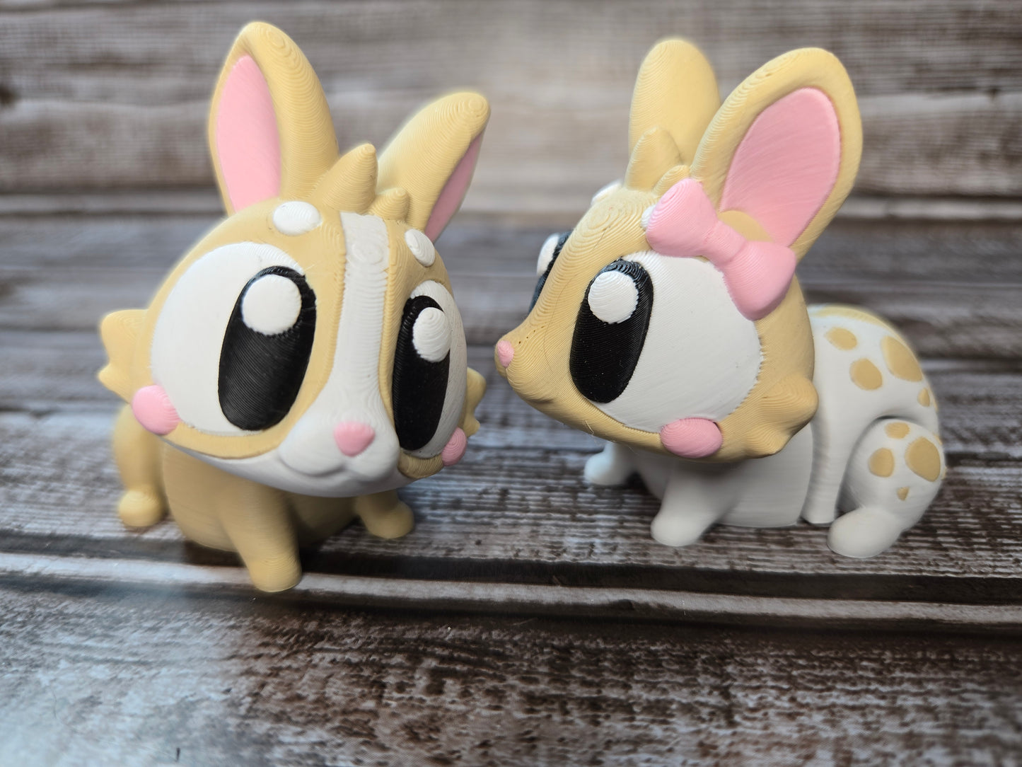 Bunny