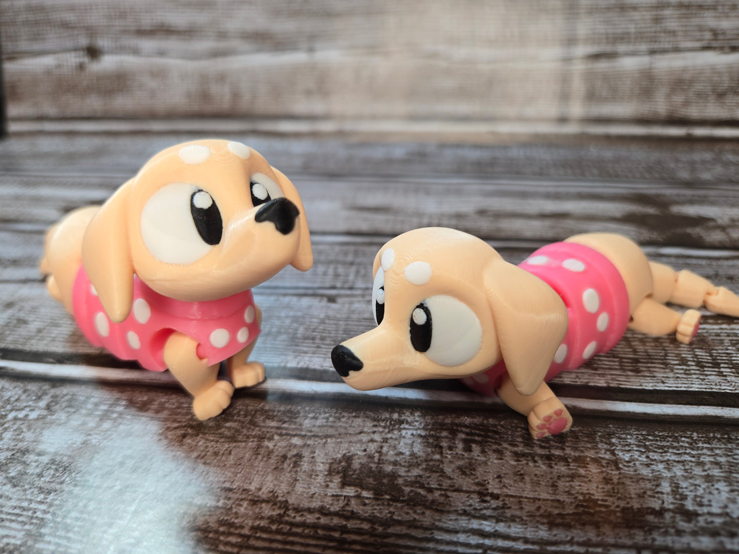 Dachshund