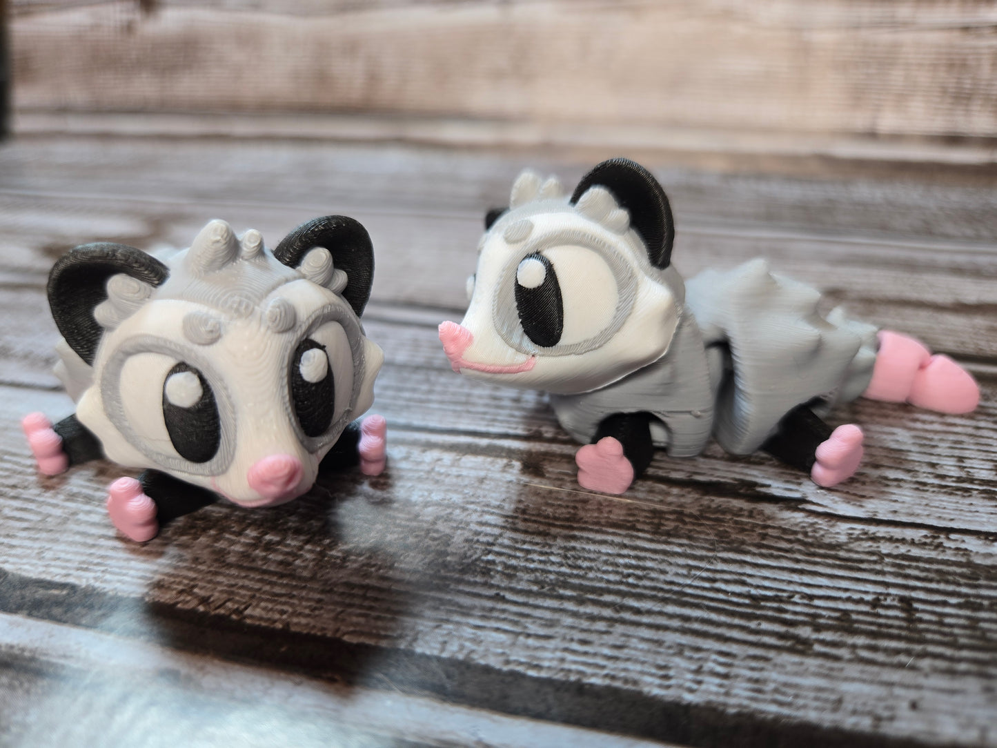 Opossum