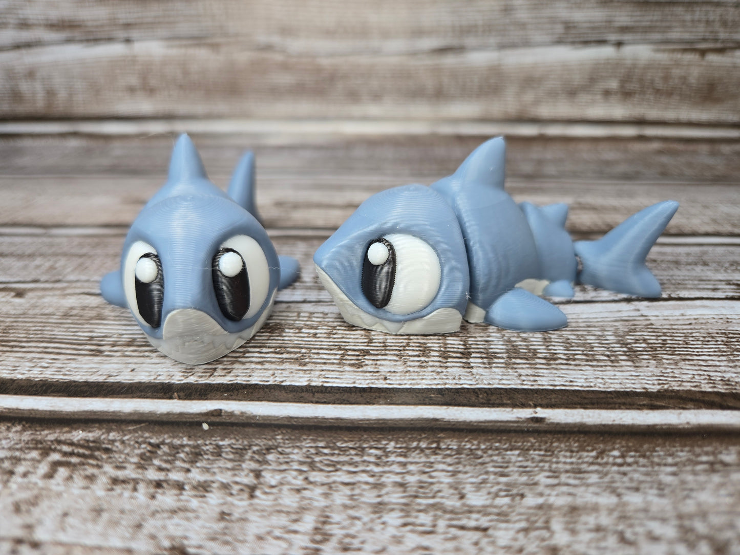 Shark