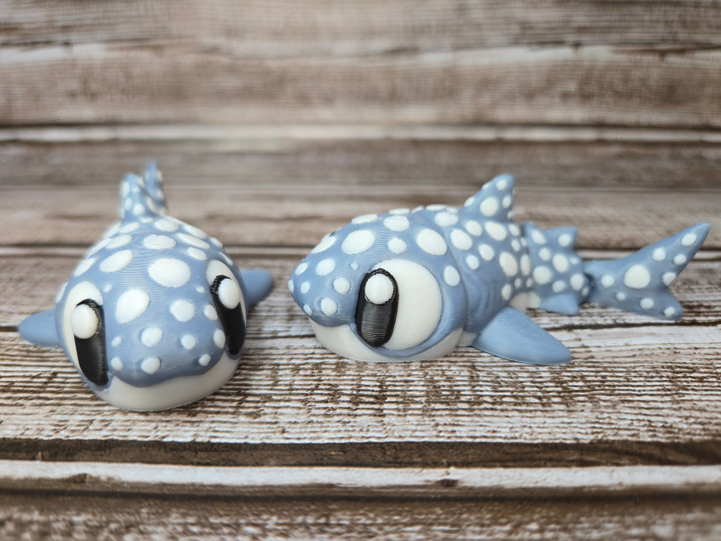 Shark