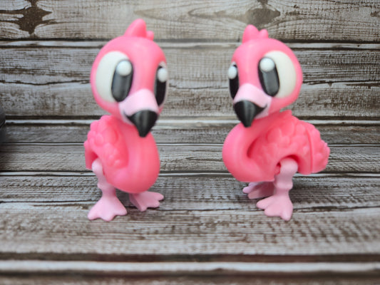 Flamingo