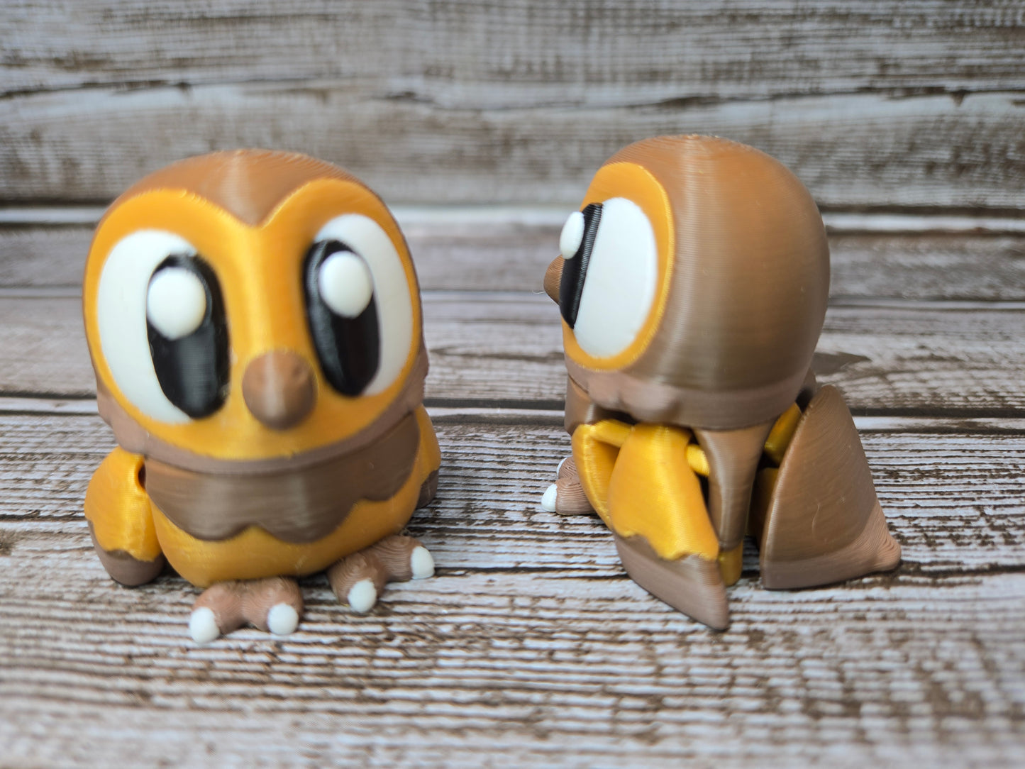 Owl
