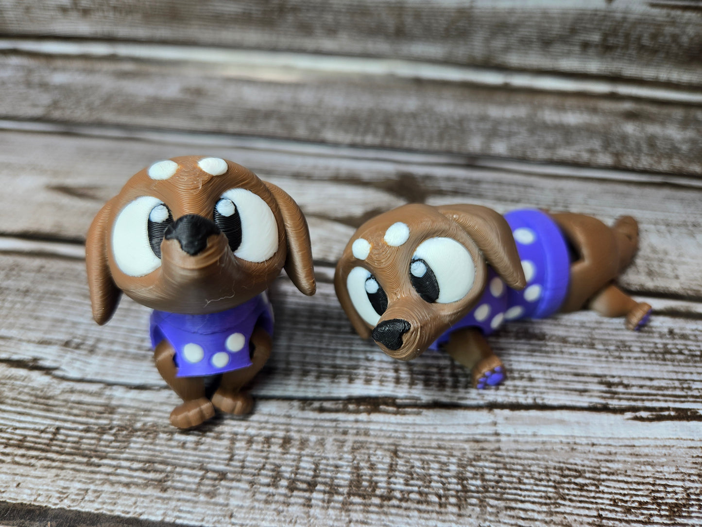 Dachshund